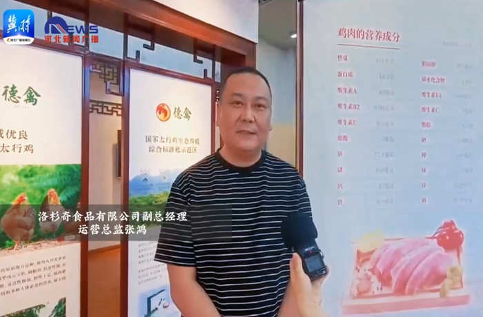 河北廣播電視臺(tái)冀時(shí)客戶端：老字號(hào) 新國潮 | 百年金鳳振翅飛：一只扒雞的守正創(chuàng)新路